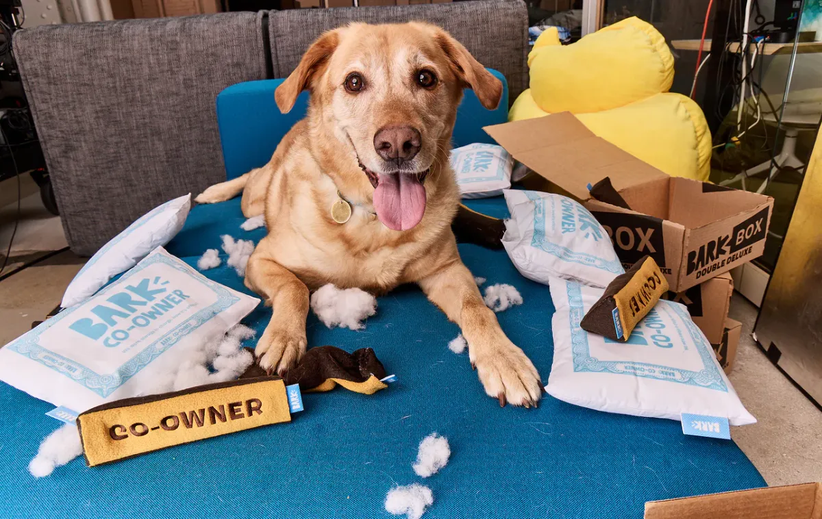 BARK Stock Jumps on Competing $1.10 Buyout Offer